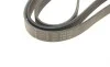 Ремінь генератора Ford Connect 1.8TDCi 06-14/Citroen C5 2.0HDi 00- (6PK1745) HUTCHINSON 1745 K 6 (фото 4)