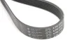 Ремень генератора MB W202/210 M111/Ford Transit 2.301-06 (6PK1775) HUTCHINSON 1775 K 6 (фото 4)