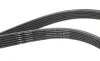 Ремінь генератора Volvo 2.0T/2.4D/3.0T6 01-08 HUTCHINSON 1825 KDF 6 (фото 2)