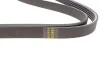 Ремень генератора BMW 5 (E39)/7 (E38) 2.5TD/Kia Cerato 1.5-1.6CRDI 05- HUTCHINSON 1850 K 5 (фото 3)