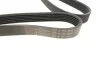 Ремень генератора Audi/BMW/Chevrolet/MB/ Opel (6PK1870) HUTCHINSON 1870 K 6 (фото 4)