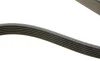 Ремень генератора Infiniti FX/M45/Lexus GS/Mitsubishi Outlander 1.8-4.5 93- HUTCHINSON 1940 K 6 (фото 3)