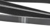 Ремень генератора MB Sprinter OM601/602 (6PK2032) HUTCHINSON 2032 K 6 (фото 3)