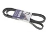 Ремінь генератора BMW 3 (E46)/5 (E39)/7 (E38)/X5 3.0D 98-05 (5PK2060) HUTCHINSON 2060 K 5 (фото 1)