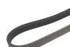 Ремінь генератора BMW 3 (E46)/5 (E39)/7 (E38)/X5 3.0D 98-05 (5PK2060) HUTCHINSON 2060 K 5 (фото 3)