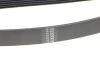 Ремень генератора Honda Accord VIII 2.0 I 08-/ Land Rover Range Rover II 3.9-4.6 94-02 HUTCHINSON 2080 K 7 (фото 3)