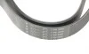 Ремень генератора Honda Accord VIII 2.0 I 08-/ Land Rover Range Rover II 3.9-4.6 94-02 HUTCHINSON 2080 K 7 (фото 4)