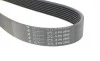 Ремень генератора Land Rover Range Rover Sport 2.7D 05-13 HUTCHINSON 2090 K 8 (фото 4)