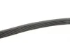 Ремень генератора MB W124/W126/W201/W202 3.0 -96/VW LT 2.5TDI (6PK2172) HUTCHINSON 2172 K 6 (фото 3)