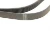 Ремень генератора MB W124/W126/W201/W202 3.0 -96/VW LT 2.5TDI (6PK2172) HUTCHINSON 2172 K 6 (фото 4)