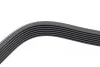 Ремень генератора Kia Sorento 2.5 CRDI 06-/Land Rover Discovery/Range Rover 88-04 HUTCHINSON 2257 K 7 (фото 4)