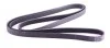 Ремень генератора MB C-class (W202/203)/E-class (W124/W210/211) M112/M113 (6PK2385) HUTCHINSON 2385 K 6 (фото 2)
