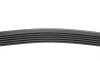 Ремень генератора MB E-class (W124/S124) M104 93-96 (6PK2412) HUTCHINSON 2412 K 6 (фото 2)