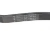 Ремень генератора MB E-class (W124/S124) M104 93-96 (6PK2412) HUTCHINSON 2412 K 6 (фото 4)