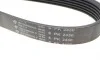 Ремень генератора Jeep Cherokee 2.8 CRD 08- (6PK2430) HUTCHINSON 2430 K 6 (фото 4)