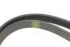 Ремень генератора Porsche Cayenne/VW Touareg 3.0 TDI 09- (6PK2475) HUTCHINSON 2475 K 6 (фото 3)