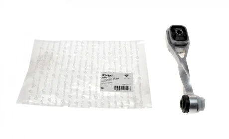 Подушка КПП Renault Kangoo 1.5dCi (задня/косточка) HUTCHINSON 524841