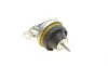 Подушка двигуна (R) Fiat Scudo/Peugeot Expert/Citroen Jumpy 1.9D/2.0 98- HUTCHINSON 594380 (фото 2)