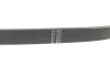 Ремень генератора Fiat Croma 2.4D 05- (5PK595) HUTCHINSON 595 SK 5 (фото 3)