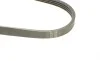 Ремінь генератора Opel Astra J/Insignia A 1.6/1.8 08-17/Alfa Romeo 159 1.8MPI 05-11 HUTCHINSON 643 SK 4 (фото 3)