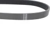 Ремінь генератора Seat Ibiza 15-/VW Polo 1.0/1.6 14-/Skoda Fabia 14- (6PK701) HUTCHINSON 701 SK 6 (фото 2)