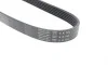 Ремінь генератора Seat Ibiza 15-/VW Polo 1.0/1.6 14-/Skoda Fabia 14- (6PK701) HUTCHINSON 701 SK 6 (фото 3)