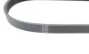 Ремень генератора Ford Focus C-Max 1.8 03-07 (5PK711) HUTCHINSON 711 SK 5 (фото 3)