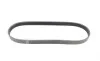 Ремень генератора Ford Focus C-Max 1.8 03-07 (5PK711) HUTCHINSON 711 SK 5 (фото 5)