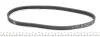 Ремень генератора Ford Transit 2.0 TDCI 00-06 (4PK735) HUTCHINSON 735 K 4 (фото 2)