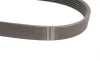 Ремень генератора Citroen C4/Peugeot 307 1.6HDi 04- (6PK780) HUTCHINSON 780 K 6 (фото 2)