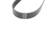 Ремень генератора Citroen C2/C3 1.4HDi 02-/C4/Peugeot 206 CC/207/307 1.6HDi 03-15 (6PK780) HUTCHINSON 780 SK 6 (фото 2)
