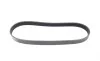 Ремень генератора Citroen C2/C3 1.4HDi 02-/C4/Peugeot 206 CC/207/307 1.6HDi 03-15 (6PK780) HUTCHINSON 780 SK 6 (фото 5)