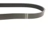 Ремінь генератора Audi A4/Skoda Octavia/VW Golf VII/Passat 1.6/2.0 TDI 12- HUTCHINSON 803 SK 6 (фото 2)