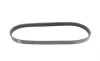Ремінь генератора VW Polo/Skoda Fabia 1.4/1.9TDI 05-/Nissan Almera/Primera 1.5-1.8 00-08 (6PK818) HUTCHINSON 818 K 6 (фото 5)