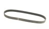 Ремень генератора Ford Transit 2.0Di/TDCi 00- (-AC) (6PK831) HUTCHINSON 831 SK 6 (фото 2)