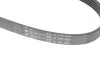 Ремень генератора Ford Focus/Kuga 2.5 05- (5PK850) HUTCHINSON 850 K 5 (фото 3)