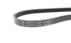 Ремень генератора BMW 5/7 (E60/61/65/66) 2.5/3.0D HUTCHINSON 860 K 4 (фото 3)