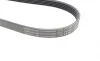 Ремінь генератора Ford Focus 1.4/1.6 Ti 03- (5PK868) HUTCHINSON 868 SK 5 (фото 3)