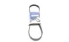 Ремінь генератора Ford Focus 1.4/1.6 Ti 03- (5PK868) HUTCHINSON 868 SK 5 (фото 1)