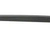 Ремень генератора BMW 3/5 90-00 / Ford Focus 2.5 05-12 HUTCHINSON 890 K 5 (фото 2)