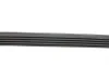 Ремінь генератора Fiat Scudo 2.0 JTD 99-06 (5PK968) HUTCHINSON 968 K 5 (фото 2)