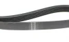 Ремінь генератора Fiat Scudo 2.0 JTD 99-06 (5PK968) HUTCHINSON 968 K 5 (фото 3)