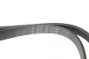 Ремінь генератора Fiat Scudo 2.0 JTD 99-06 (5PK968) HUTCHINSON 968 K 5 (фото 4)