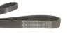 Ремінь генератора Citroen Berlingo/VW Golf III 1.4-2.0i 91- (6PK975) HUTCHINSON 975 K 6 (фото 2)