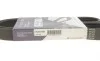 Ремінь генератора Citroen Berlingo/VW Golf III 1.4-2.0i 91- (6PK975) HUTCHINSON 975 K 6 (фото 5)