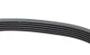 Ремень генератора VW Polo/Up 11-/Skoda Fabia 14-/Seat Ibiza 1.0/1.6 15- (6PK989) HUTCHINSON 989 SK 6 (фото 4)
