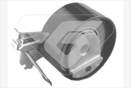 Натяжной ролик Citroen C3, C4/Peugeot 206, 307 1.4 16V (03-) Hutchinson HUTCHINSON HTG317