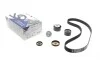 Комплект ремня ГРМ Renault Kangoo I, Clio II, Logan, Duster 1,4-1,6 16V (KH132) Hutchinson HUTCHINSON KH 132 (фото 1)