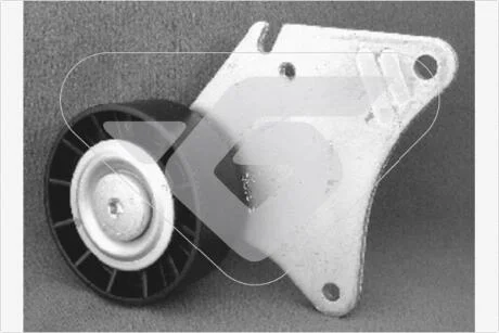 Ролик приводного ременя паразитний Citroen Berlingo (96-08) Hutchinson HUTCHINSON T0203