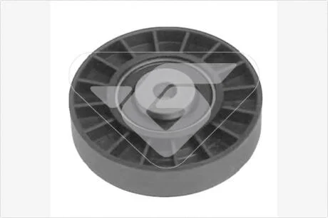 Ролик обводной 1,4/1,6 8V Renault Clio II, Kangoo I Hutchinson HUTCHINSON T0240